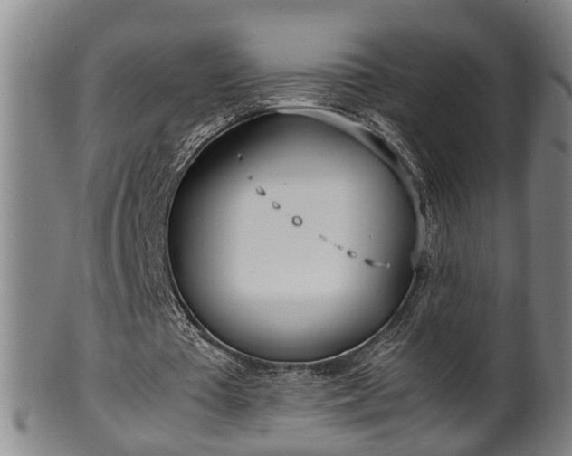 X0000100220385200806061350