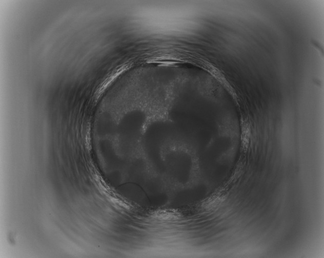 X0000100220386200806061350