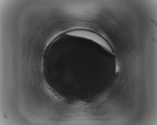 X0000100220387200806061350