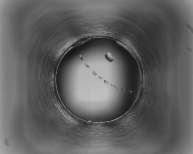 X0000100220389200806061350