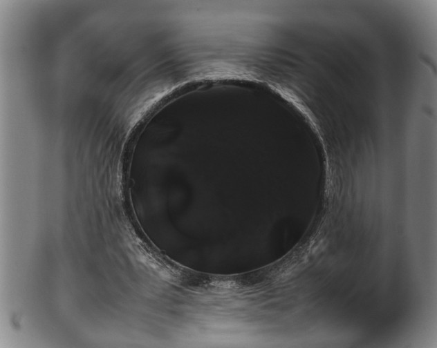 X0000100220391200806061350