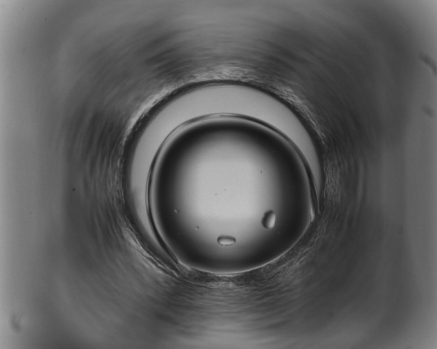 X0000100220392200806061350