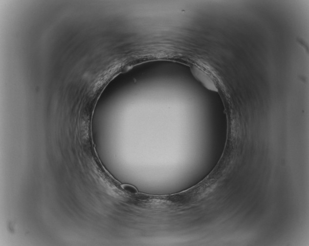 X0000100220393200806061350