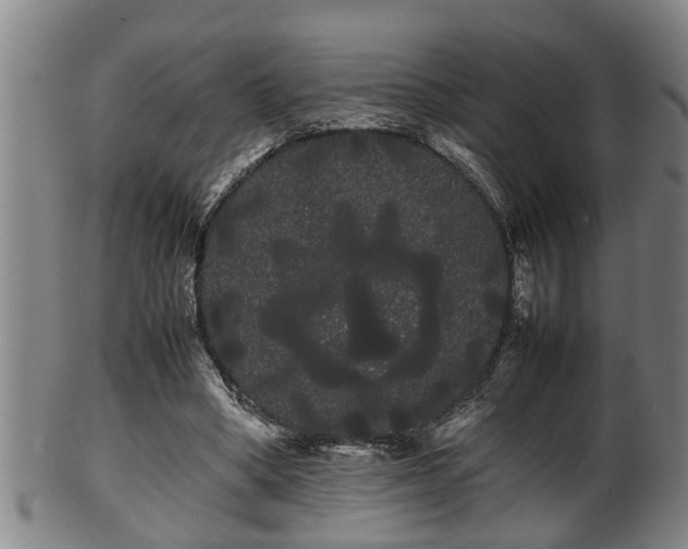 X0000100220394200806061350