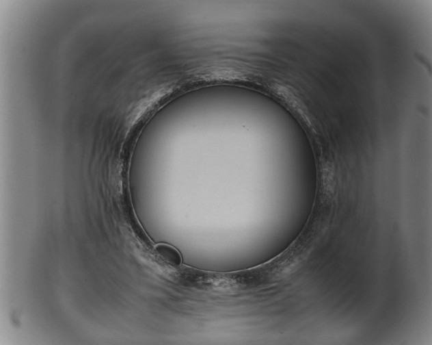 X0000100220395200806061350