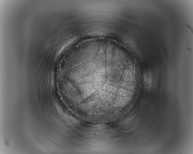 X0000100220396200806061350