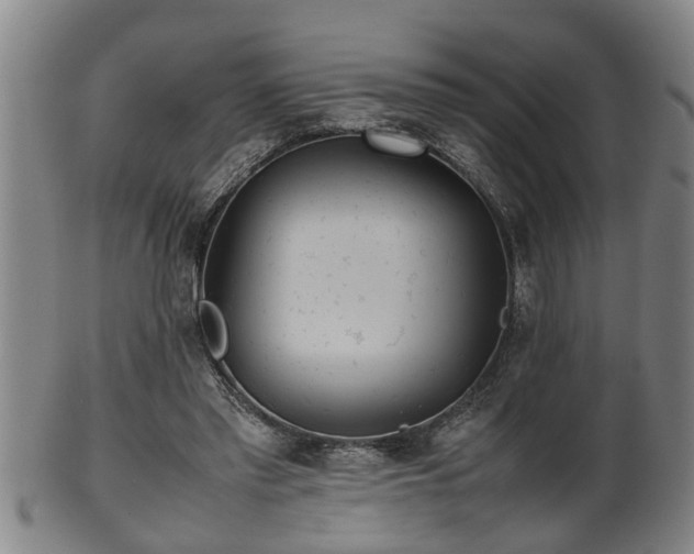 X0000100220397200806061350