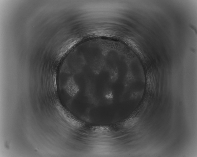 X0000100220398200806061349