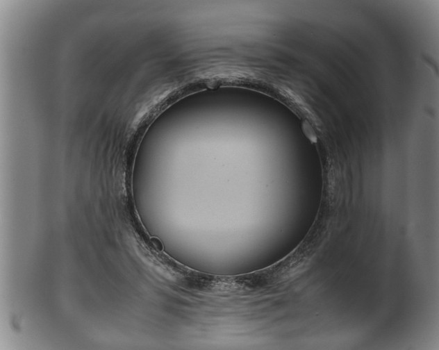 X0000100220399200806061349