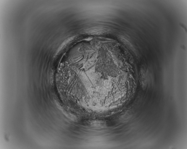 X0000100220400200806061349