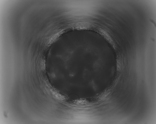 X0000100220401200806061349