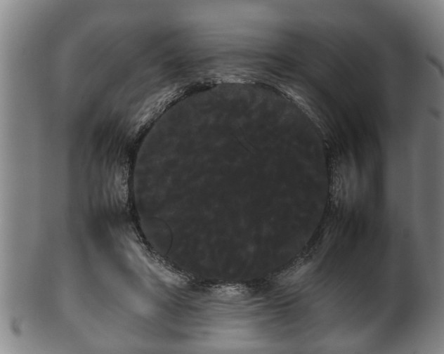 X0000100220402200806061349