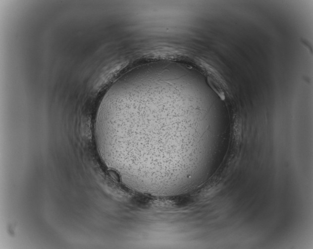 X0000100220403200806061349