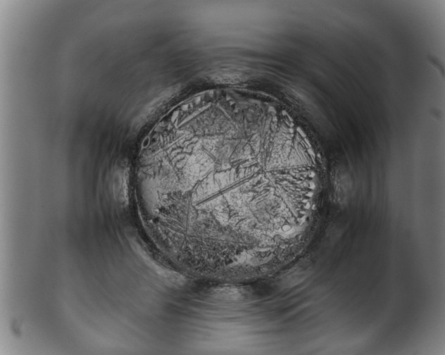 X0000100220404200806061349