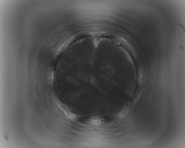 X0000100220405200806061349