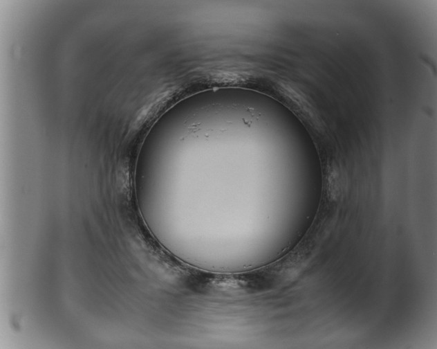 X0000100220407200806061349