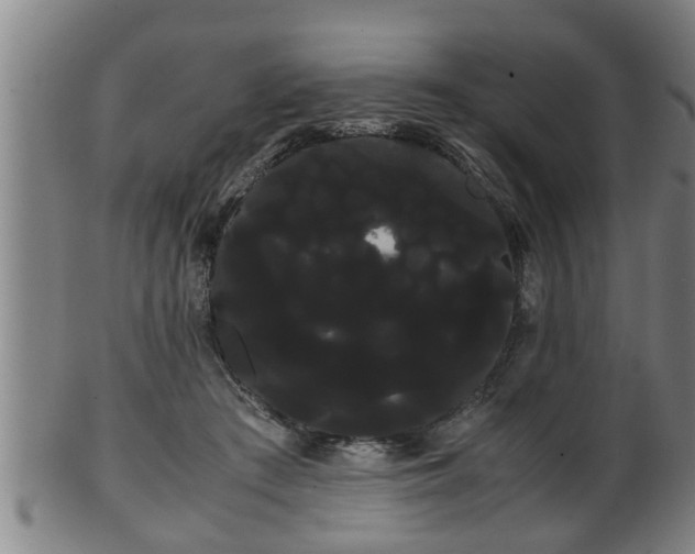 X0000100220409200806061349