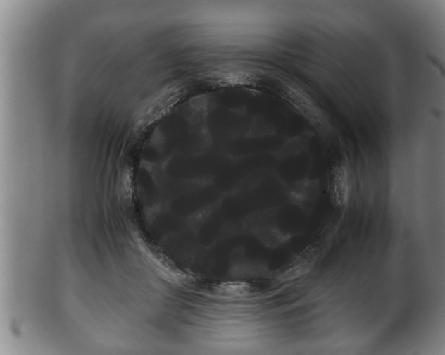 X0000100220410200806061349