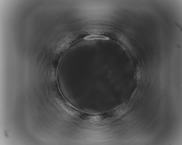 X0000100220411200806061349