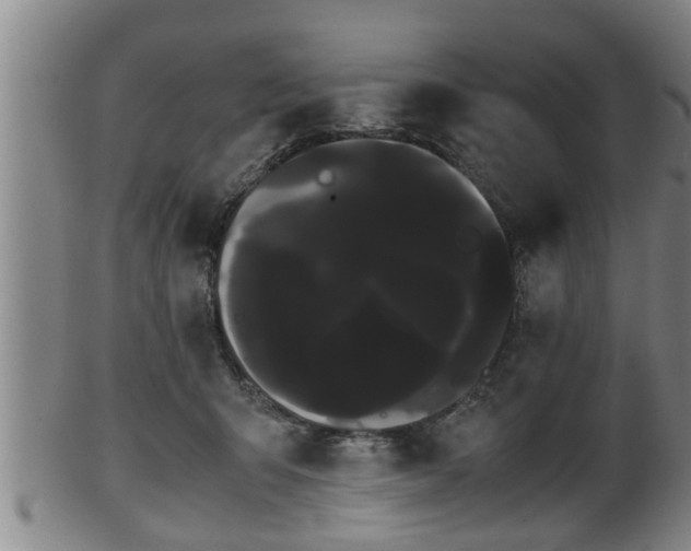 X0000100220415200806061349