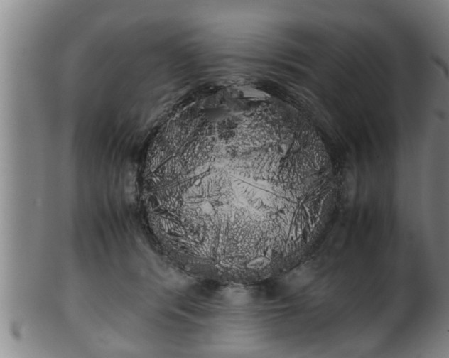X0000100220416200806061349