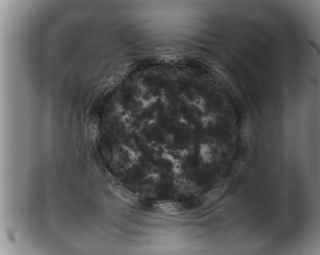 X0000100220417200806061349