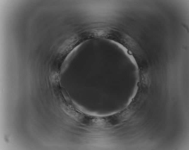 X0000100220419200806061349