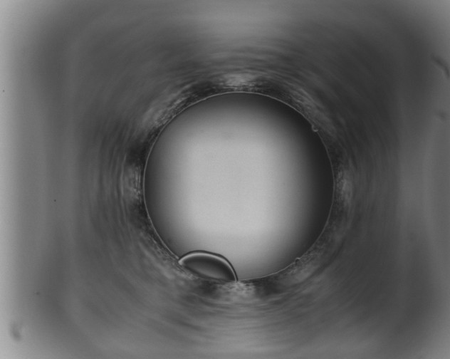 X0000100220421200806061349