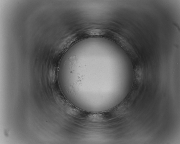 X0000100220422200806061349