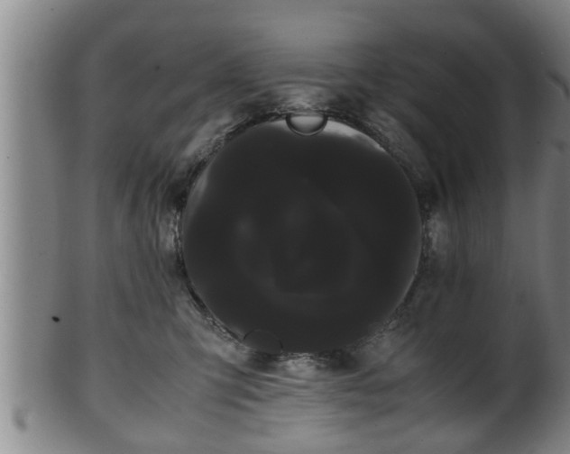 X0000100220423200806061349