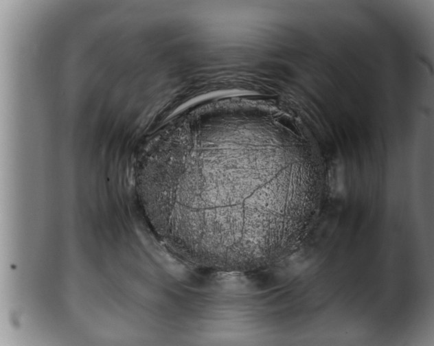 X0000100220424200806061349