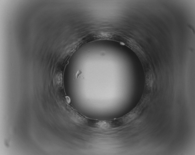 X0000100220425200806061349