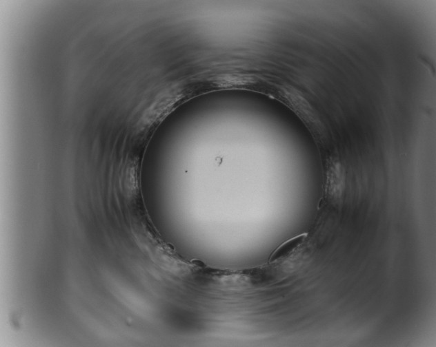 X0000100220426200806061349