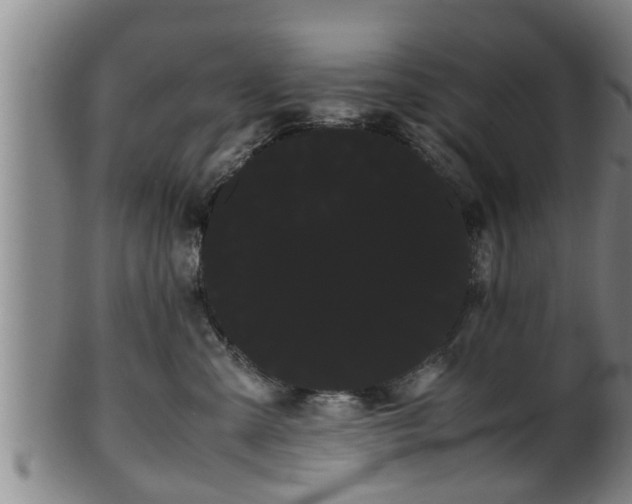 X0000100220427200806061349