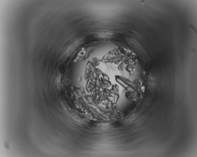 X0000100220428200806061349