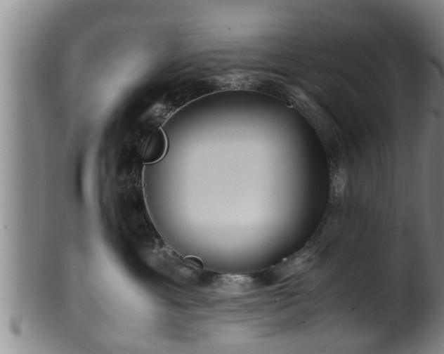 X0000100220429200806061349