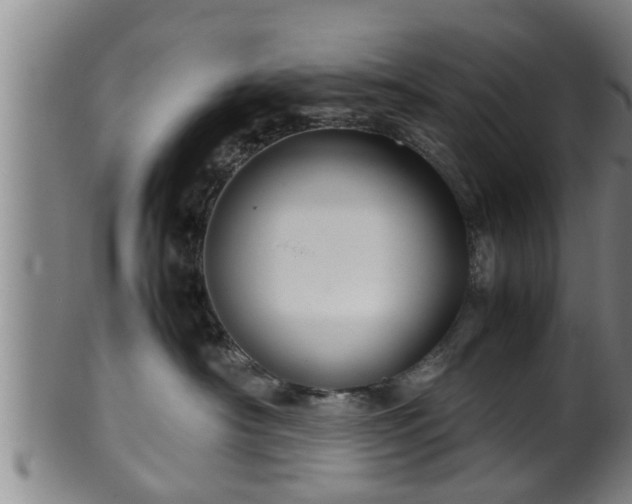 X0000100220430200806061349