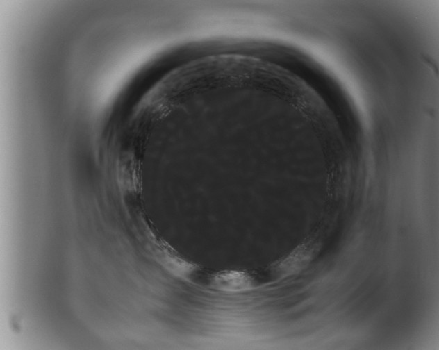 X0000100220431200806061349