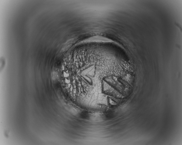 X0000100220432200806061349
