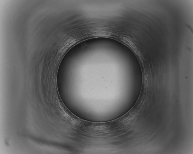 X0000100220433200806061348