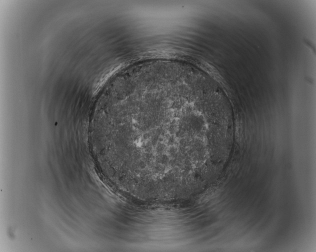 X0000100220434200806061348