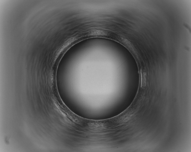 X0000100220435200806061348