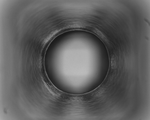 X0000100220436200806061348