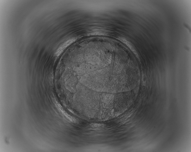X0000100220437200806061348
