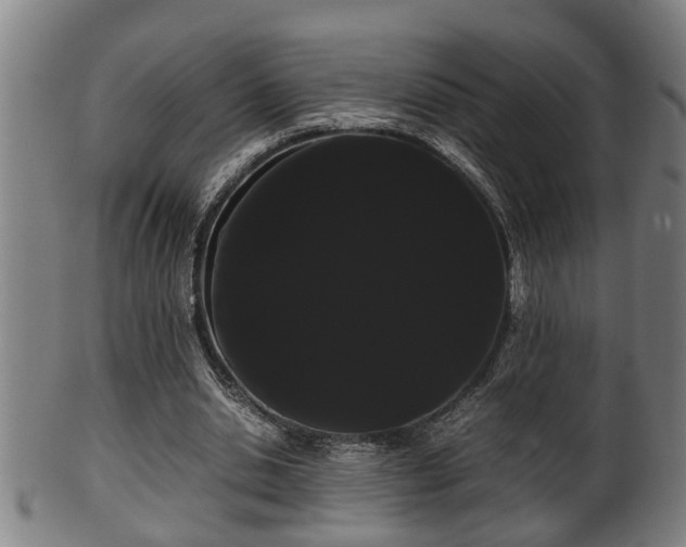 X0000100220438200806061348