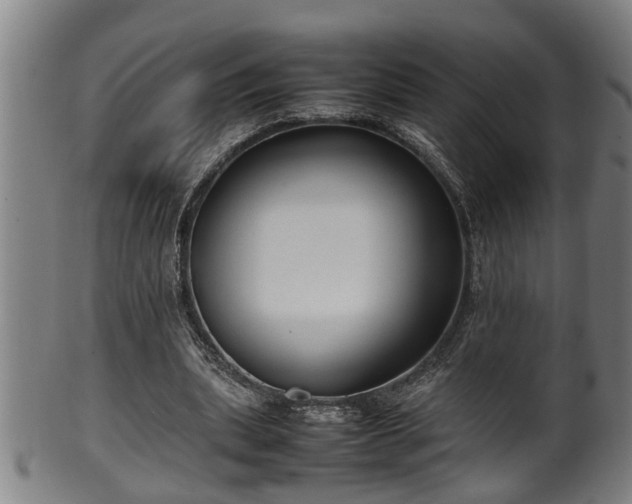 X0000100220439200806061348