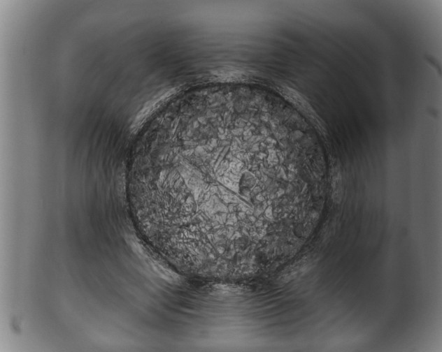 X0000100220442200806061348