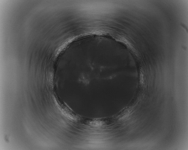 X0000100220444200806061348