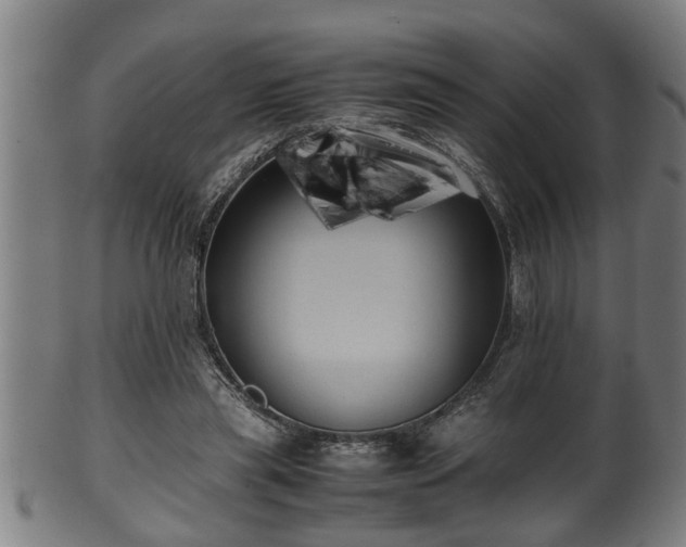 X0000100220445200806061348
