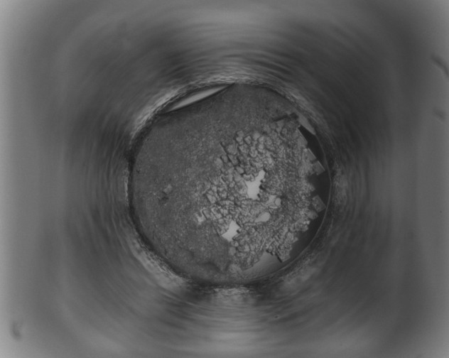 X0000100220446200806061348